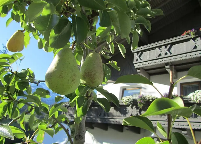 Appartement Kroner Nauders